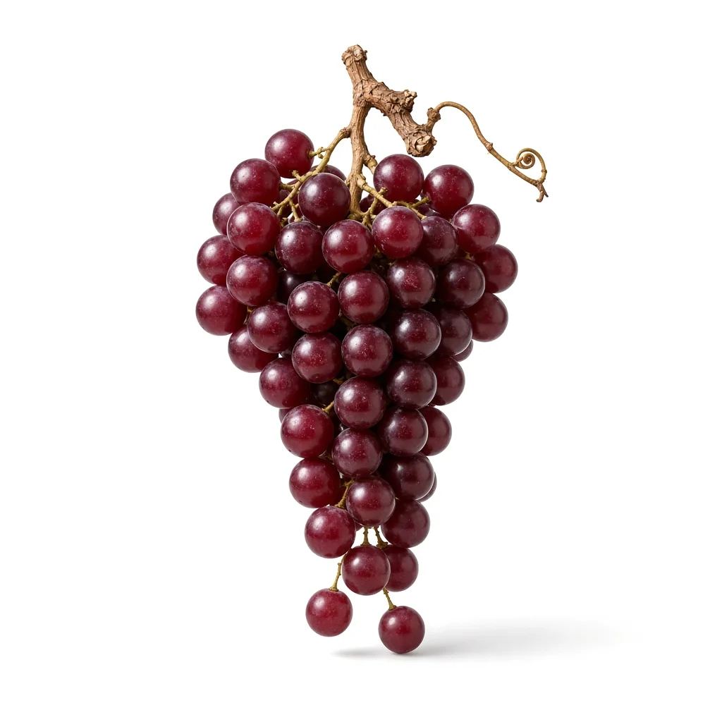 A bunch of Garnacha grapes